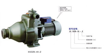 双龙水泵 专业微型清水自吸电泵，郑州源头厂家直销